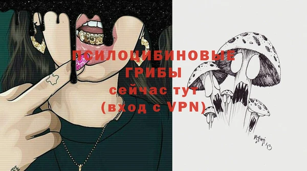 стафф Абдулино