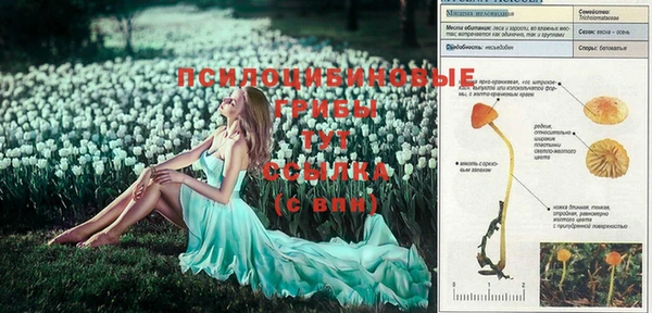 дживик Абаза