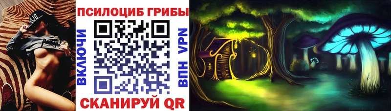 Псилоцибиновые грибы GOLDEN TEACHER  даркнет наркотические препараты  Югорск  купить наркоту 